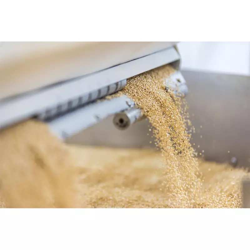 Andean Valley | Organic Quinoa Pasta | 11 lb. E