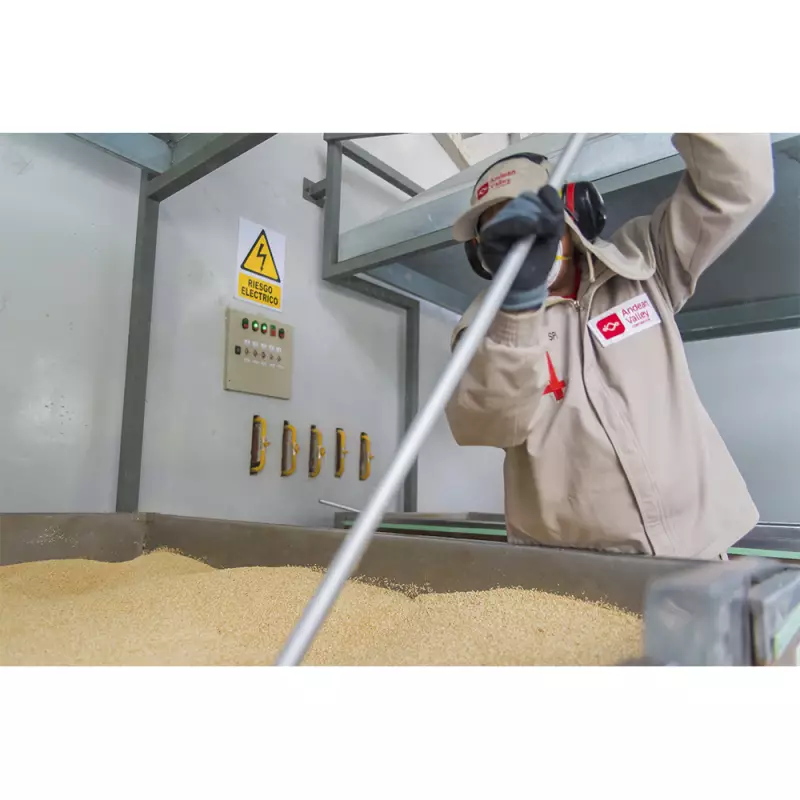 Andean Valley | Organic Quinoa Pasta | 11 lb. E