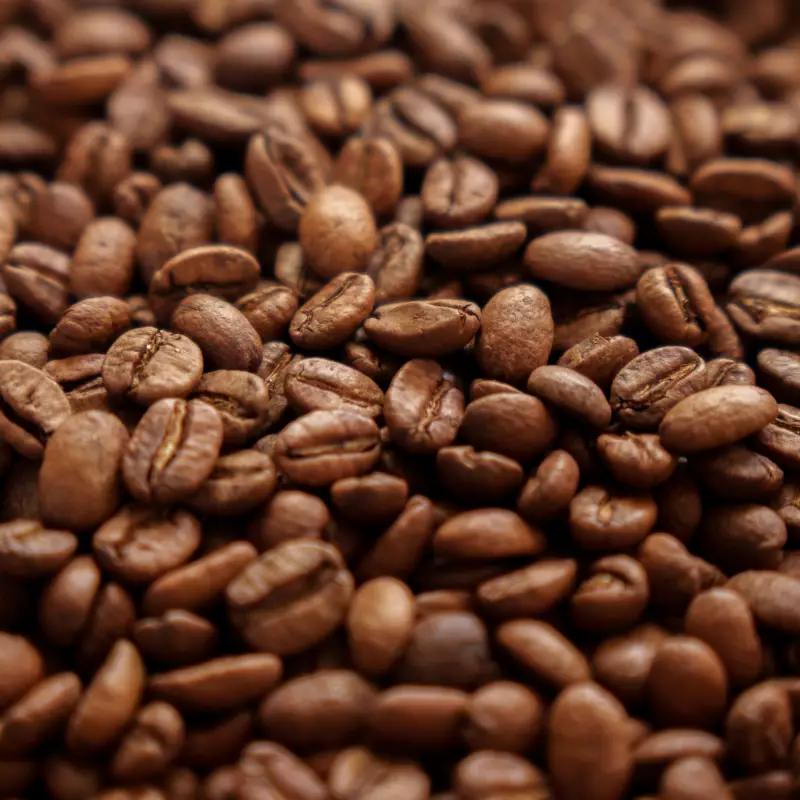 Cafe Quindio Gourmet | Medium Roast 100% Colombian Excelso Whole Bean Arabica Coffee | 12 Ounce BagE