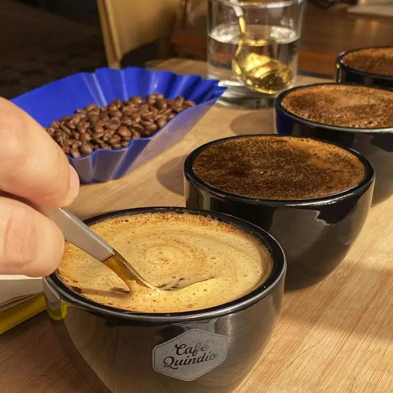 Cafe Quindio Gourmet | Medium Roast 100% Colombian Excelso Whole Bean Arabica Coffee | 12 Ounce BagE