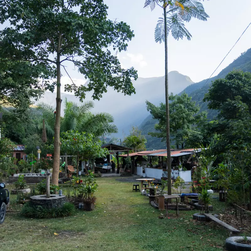 Delizia Foods | Whole Bean Roasted Coffee | 8oz | Bolivian specialy coffee | E