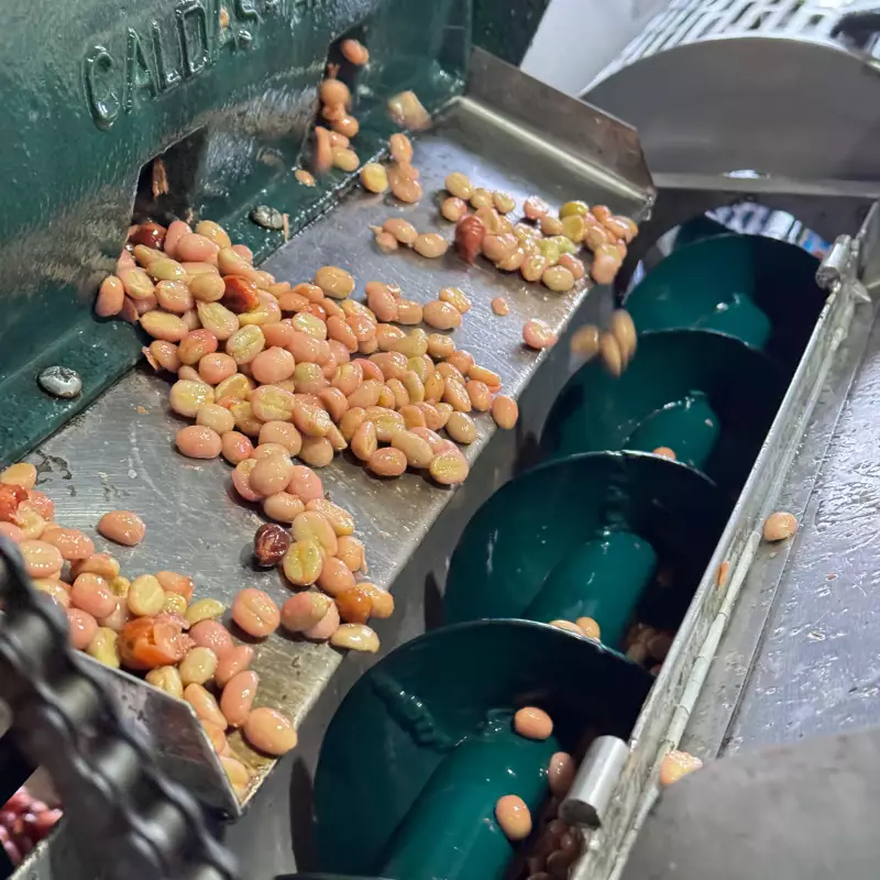 Delizia Foods | Whole Bean Roasted Coffee | 8oz | Bolivian specialy coffee | E