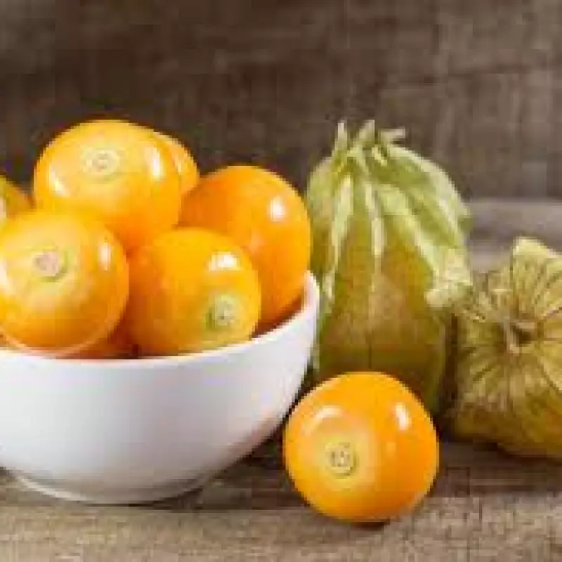 FromNativoGo| Freeze Dried Fruit: Mango, CapeGooseberry, Soursop | 3Pack | 3.05 Oz E