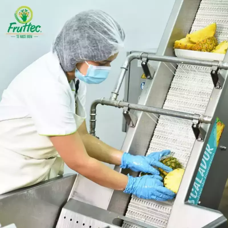 Fruttec | Green Mix. 100% Natural | Six Pack 26.46 Oz E.