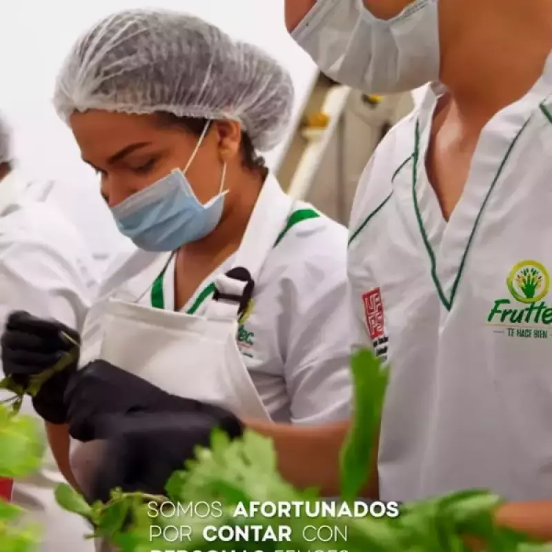 Fruttec | Green Mix. 100% Natural | Six Pack 26.46 Oz E.