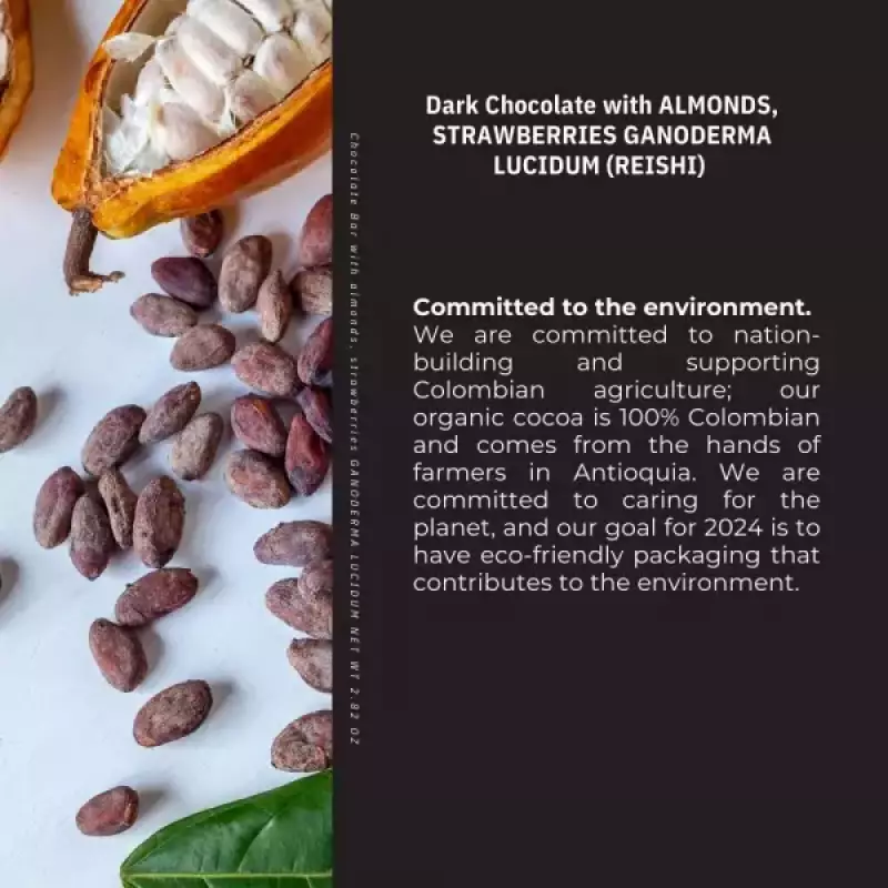 Kaffeto Gourmet | Dark chocolate bar with Almonds strawberries and reishi | Organic Vegan E.