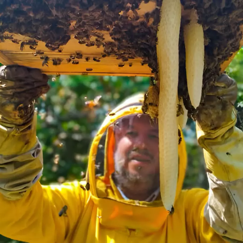 Propolis | Adult Cough Syrup with Propolis and Pure Tropical Honey | 6.34 oz E