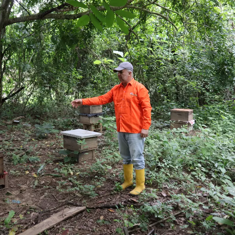 Propolis | Kids Cough Syrup with Propolis and Pure Tropical Honey | 6.34 oz E