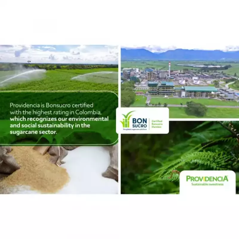 Providencia | Organic Brown Sugar | 24oz resealable doypack | Possibility to do Private Label E.