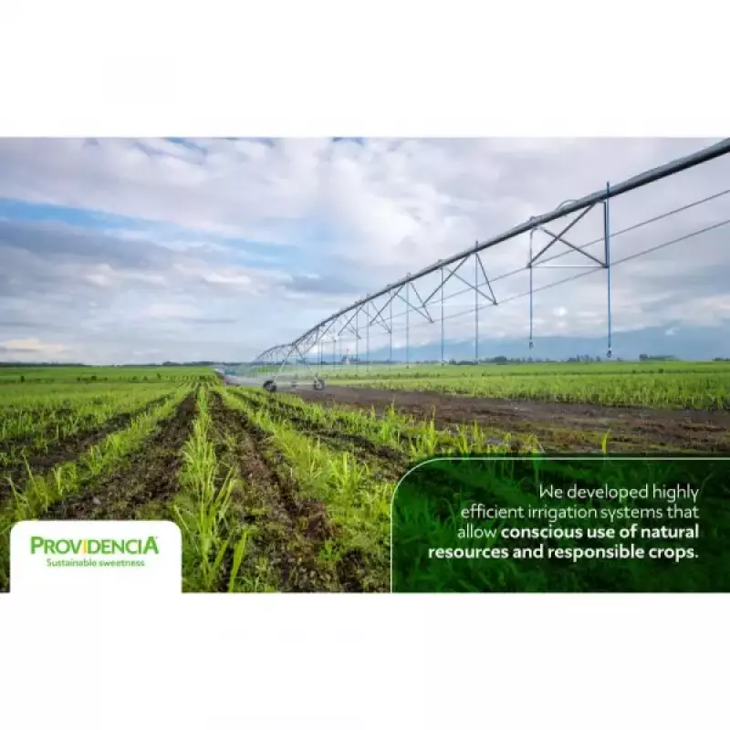 Providencia | Organic Brown Sugar | 24oz resealable doypack | Possibility to do Private Label E.