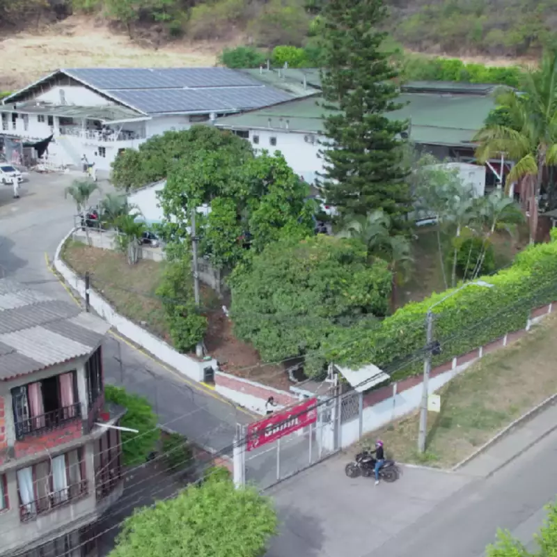 Sanin | Frozen Almojabana | 95,24 oz| E