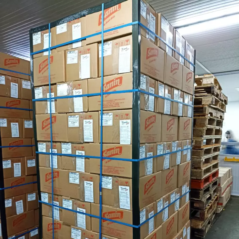 Sanin | Frozen Almojabana | 95,24 oz| E